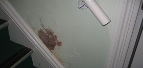 rising damp causing flaking plaster